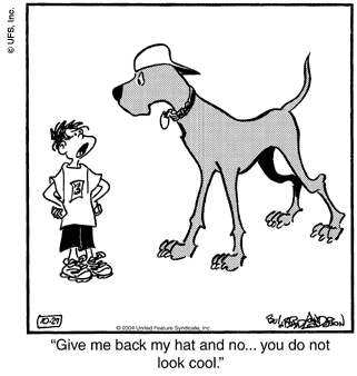marmaduke